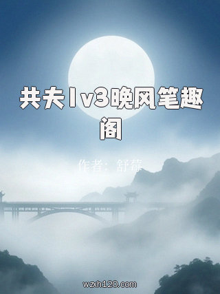 共夫1v3晚风笔趣阁