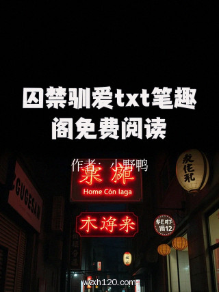 囚禁驯爱txt笔趣阁免费阅读