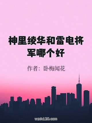 神里绫华和雷电将军哪个好