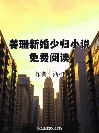姜珊新婚少归小说免费阅读