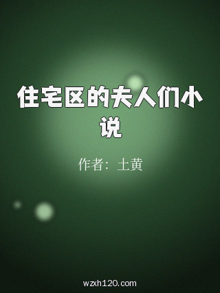 住宅区的夫人们小说