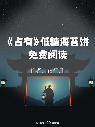 《占有》低糖海苔饼免费阅读