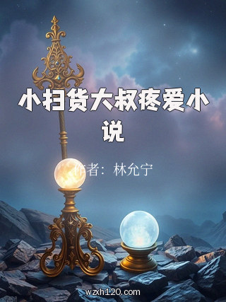 小扫货大叔疼爱小说