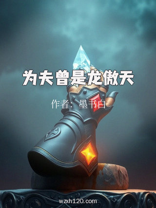 为夫曾是龙傲天