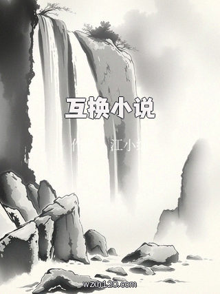 互换小说