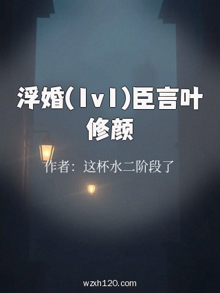 浮婚(1v1)臣言叶修颜