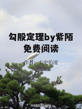 勾股定理by紫陌免费阅读