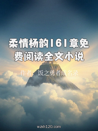 柔情杨韵161章免费阅读全文小说
