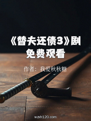 《替夫还债3》剧免费观看