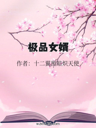 极品女婿