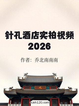 针孔酒店实拍视频2026