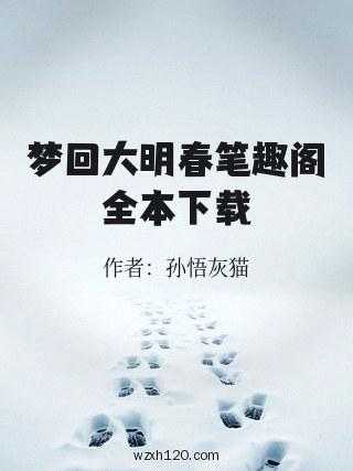 梦回大明春笔趣阁全本下载