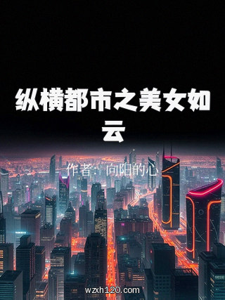 纵横都市之美女如云