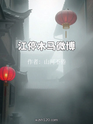 江停木马微博