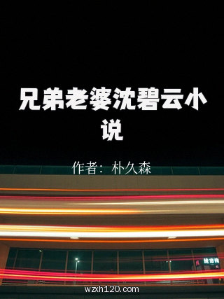 兄弟老婆沈碧云小说