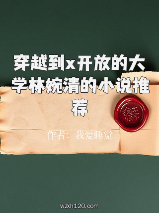 穿越到x开放的大学林婉清的小说推荐