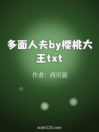 多面人夫by樱桃大王txt