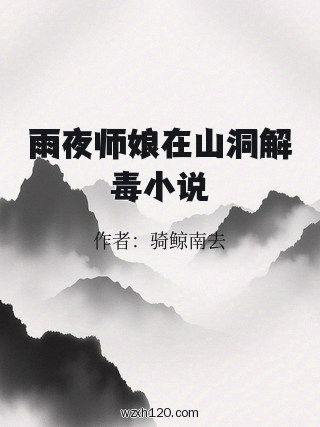 雨夜师娘在山洞解毒小说