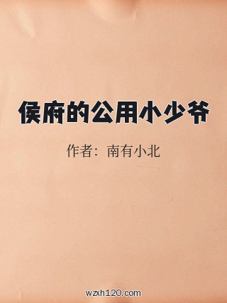 侯府的公用小少爷