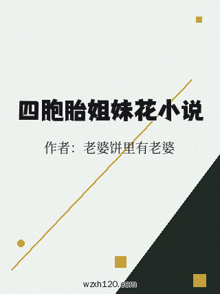 四胞胎姐妹花小说