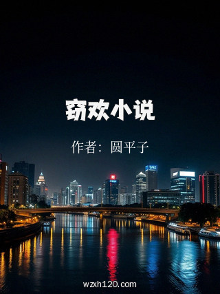 窃欢小说