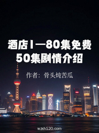 酒店1—80集免费50集剧情介绍