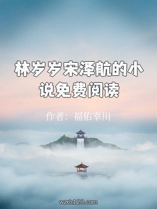 林岁岁宋泽航的小说免费阅读