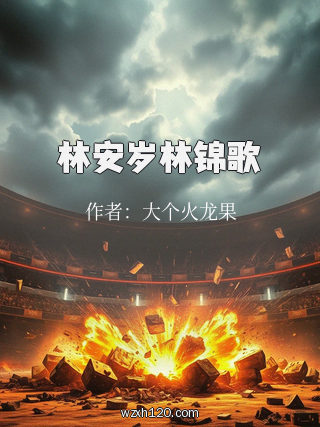 林安岁林锦歌