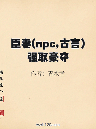 臣妻(npc,古言)强取豪夺
