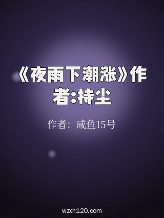 《夜雨下潮涨》作者:持尘