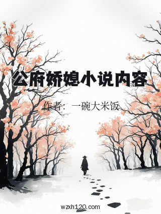 公府娇媳小说内容