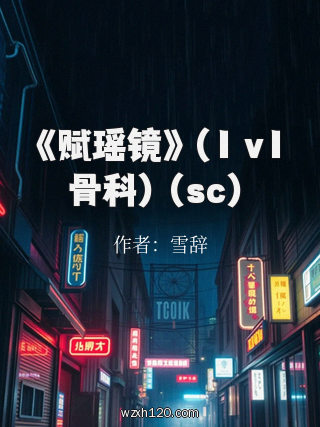 《赋瑶镜》(1 v1骨科)(sc)