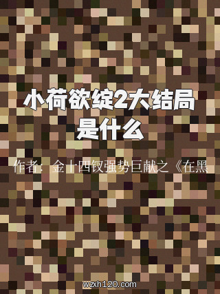 小荷欲绽2大结局是什么