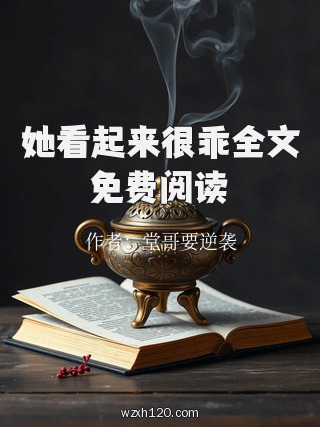 她看起来很乖全文免费阅读