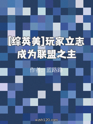 [综英美]玩家立志成为联盟之主