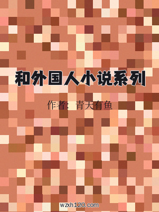 和外国人小说系列