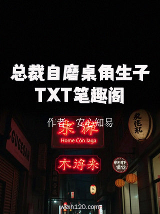 总裁自磨桌角生子TXT笔趣阁