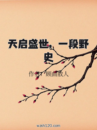 天启盛世，一段野史