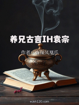 养兄古言IH袁宗