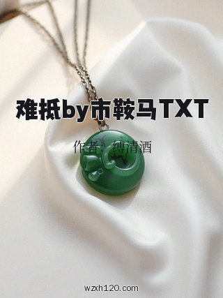 难抵by市鞍马TXT