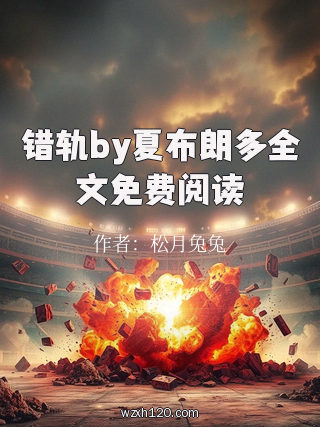 错轨by夏布朗多全文免费阅读