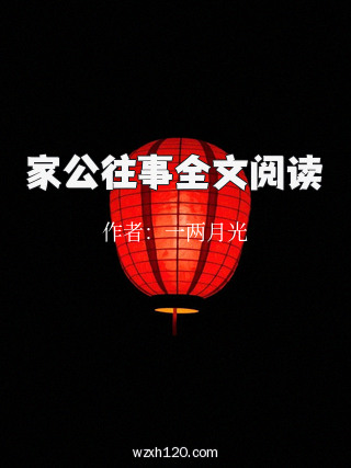 家公往事全文阅读