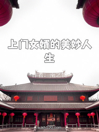 上门女婿的美妙人生