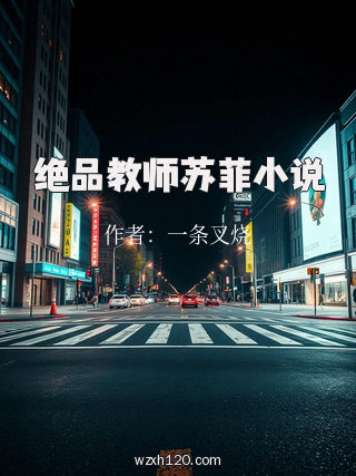 绝品教师苏菲小说