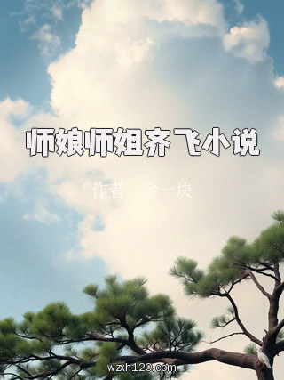 师娘师姐齐飞小说