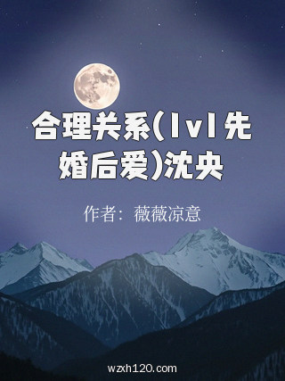 合理关系(1v1先婚后爱)沈央