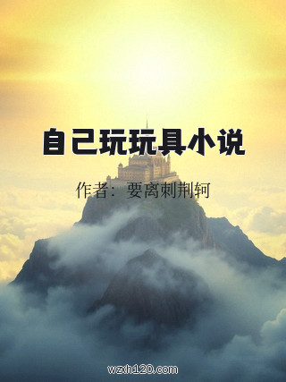 自己玩玩具小说