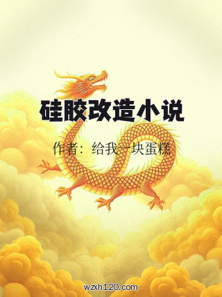 硅胶改造小说