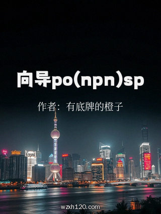 向导po(npn)sp