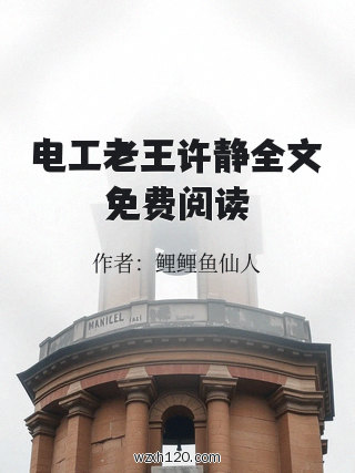 电工老王许静全文免费阅读